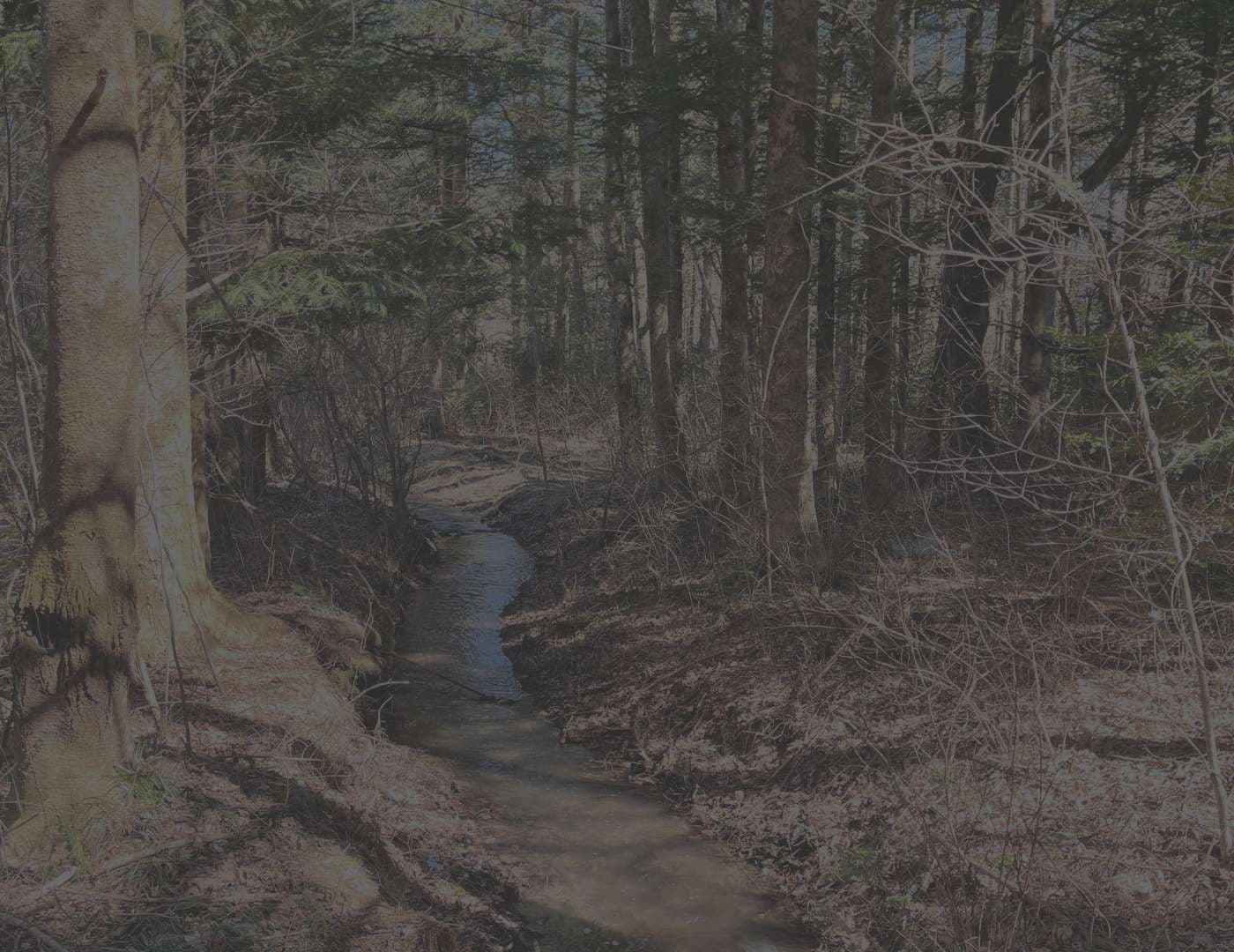 Saunature 管理システム